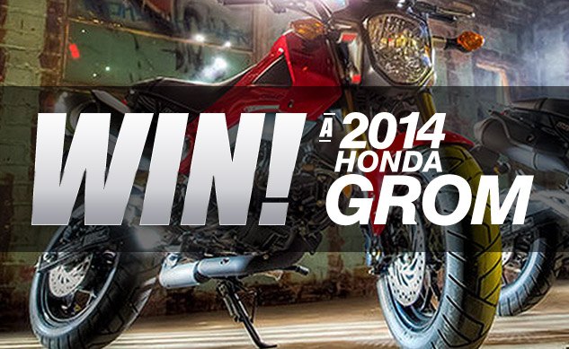 Win a 2014 Honda Grom With GromForum.com