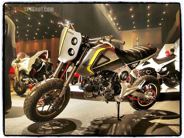 Top 10 Modified Honda Groms | Motorcycle.com