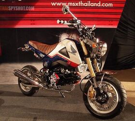 Honda shop grom modified