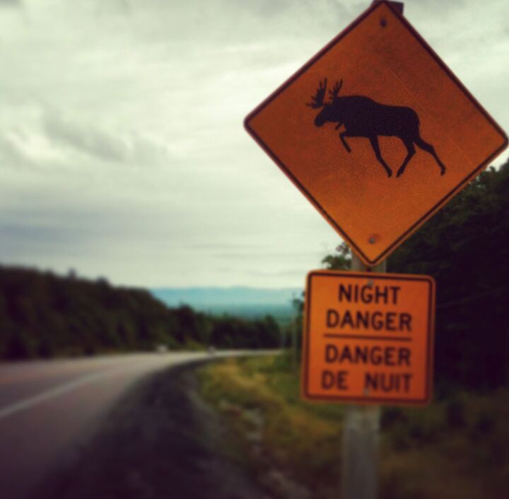 the unforgettable beauty of ontario s algoma country, I love these signs invincible moose ahead