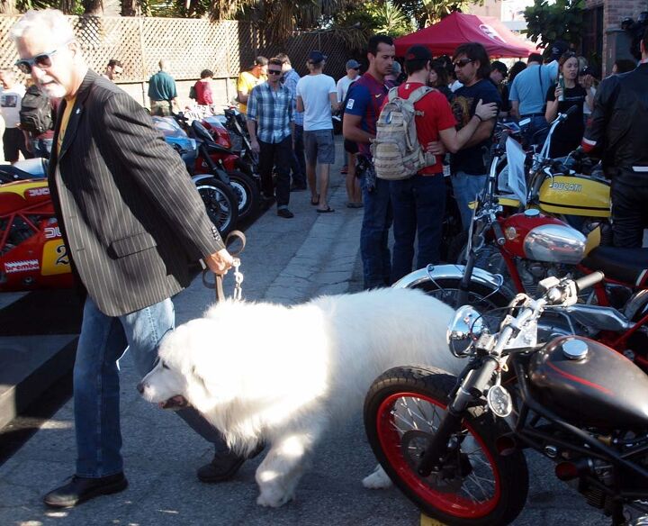 raduno italia dancing with ducs at deus ex machina, And yes the dog is Italian His name is Rocki As far as I know he did not bite one motorcycle