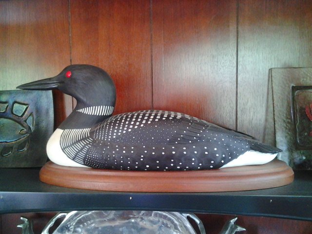 head shake time and distance, Loons live in Maine They are beautiful birds they also live in Southern Maryland albeit in a different form