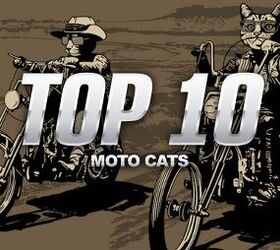 Top 10 Moto Cats