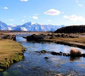 Whatever! - Withdrawal Symptoms