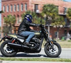 Best harley for online beginners