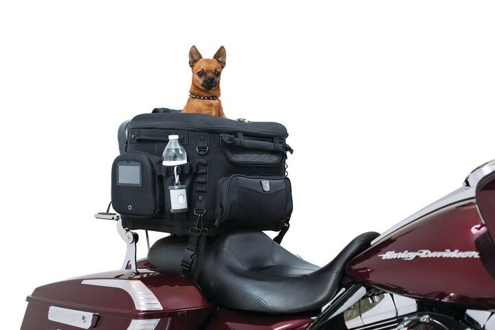 top 10 motorcycle resolutions for 2019, Kuryakyn Grand Pet Palace