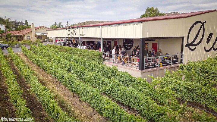 moto doffo wine makers and motorcycle racers, The Tap Room the perfect place to ponder life s big questions and watch Zinfandel and Petite Syrah vines grow between MotoGP races on the big screen