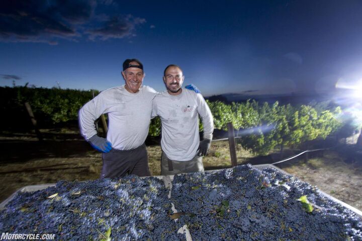 moto doffo wine makers and motorcycle racers, Harvest time One ton of Zinfandel grapes to go into the Zinfandel wine