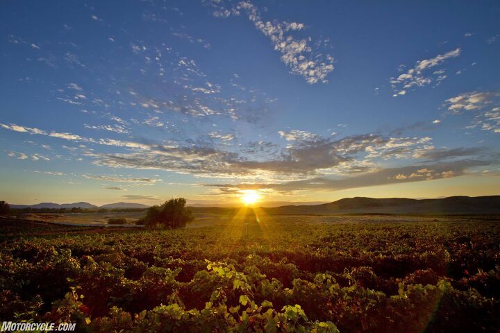 moto doffo wine makers and motorcycle racers, The Southern California sun waking up 15 acres of Cabernet Sauvignon Syrah and Malbec vines
