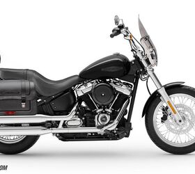 Custom 2020 softail deals standard