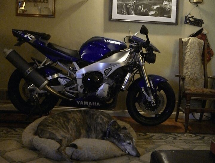 call for submissions readers rides, I ll start Here s my 2000 R1 naked bike and my dearly departed hound Ruler RIP buddy