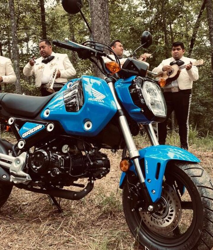 2022 honda grom review first ride