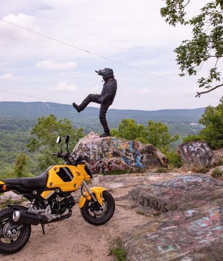 2022 honda grom review first ride