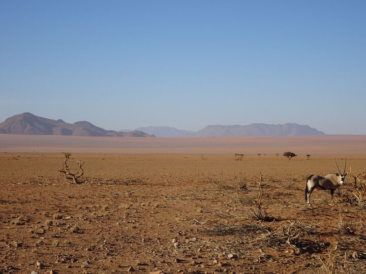 mo book review the unseen walls, Somewhere in Namibia