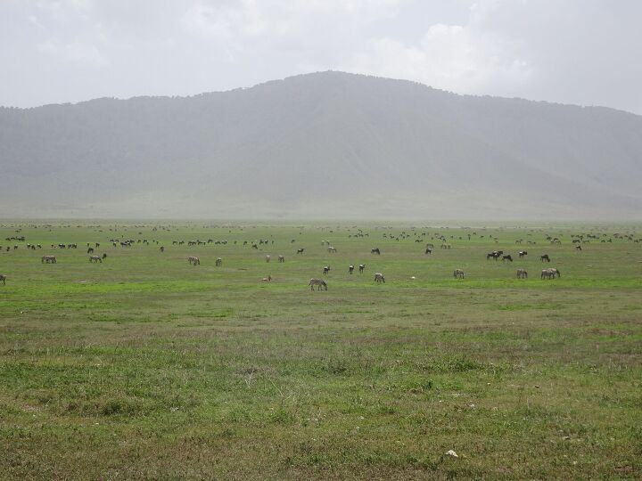 mo book review the unseen walls, Ngorongoro Crater Tanzania