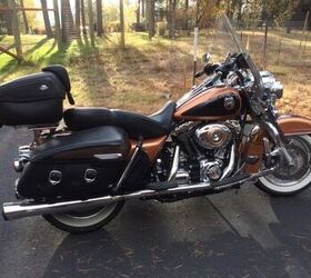 週末限定　Harley Davidson エグレタンク 黒/茶金エアーブラシ！ 2008 Harley-Davidson FLHRC 105 Anniversary Edition For Sale