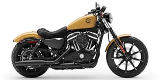 2019 Harley-Davidson Sportster® Iron 883