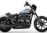 2019 Harley-Davidson Sportster® Iron 1200