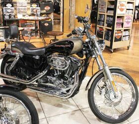 Sportster family outlet