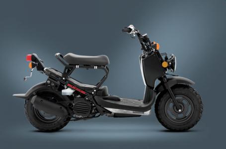 100 Ruckus 2011 Honda RUCKUS For Sale | Motorcycle Classifieds | Motorcycle.com
