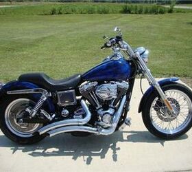 2004 dyna low on sale rider for sale