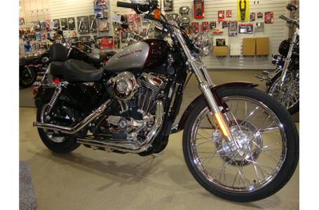 another clean 1200 sportster custom to choose from this one has a way more