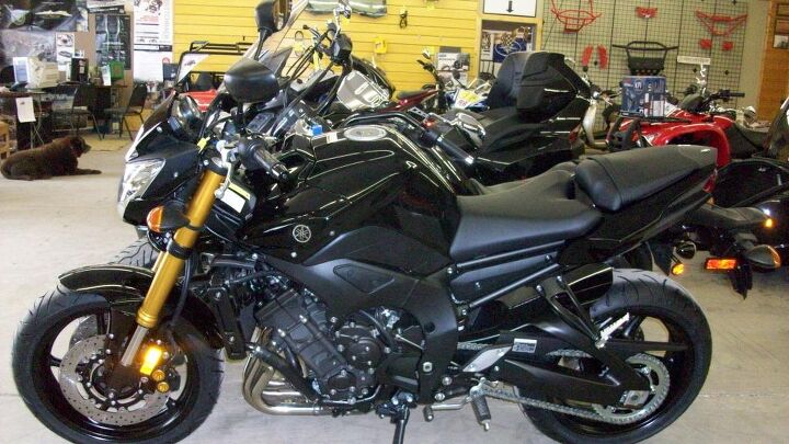 2011 yamaha fz8 wont last hot seller give us27 a try before you buy