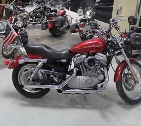 Sportster 883 deals custom 2004