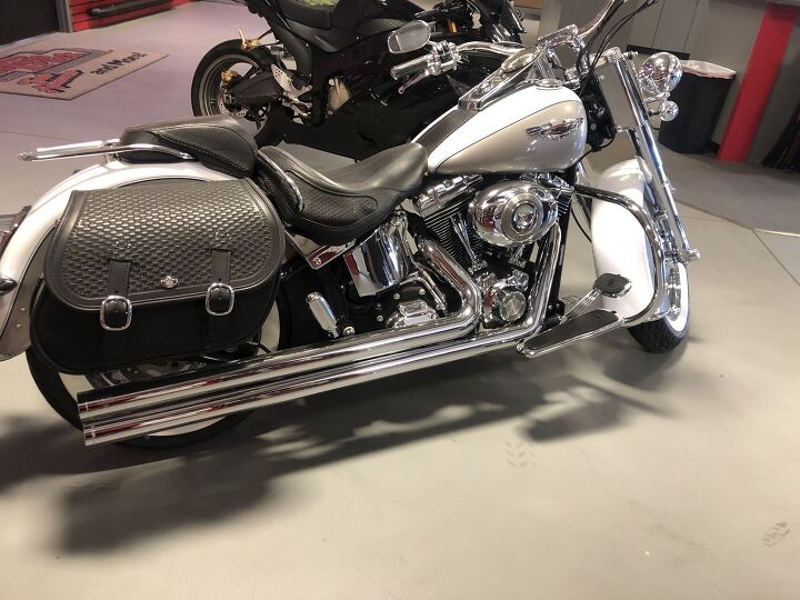 2008 harley softail deluxe immaculate