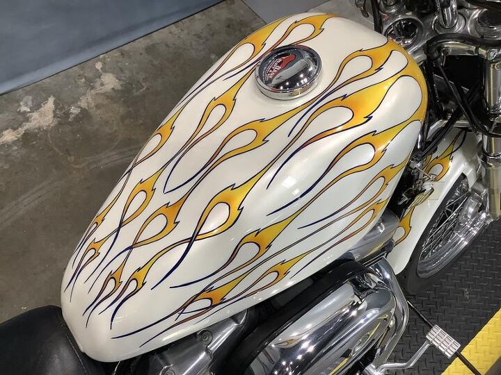 21st annual madness sale low miles custom paint rack windshield saddle bags