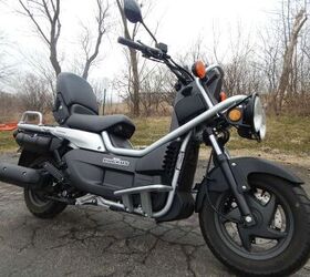 2006 Honda Big Ruckus (PS250) For Sale | Motorcycle Classifieds