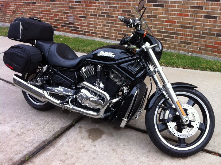 for sale by owner title in hand 2008harley davidson vrscd night rod rare and hard