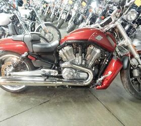 2009 Harley-Davidson V-Rod Muscle For Sale | Motorcycle Classifieds ...