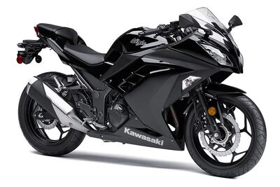 2014 Kawasaki Ninja® 300 ABS 