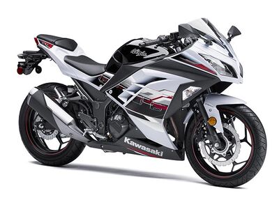 2014 Kawasaki Ninja® 300 SE 