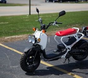 2013 Honda Ruckus