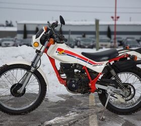 1986 Honda Reflex TLR200 For Sale | Motorcycle Classifieds | Motorcycle.com