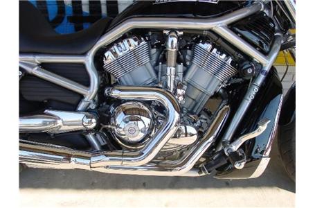 looking for a bad ass v rod you just found it and the price has been reduced for
