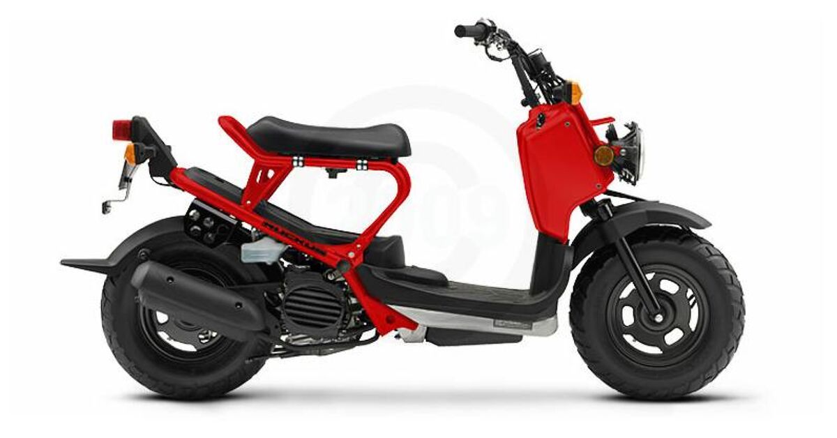 200cc Ruckus 2009 Honda Ruckus For Sale | Motorcycle Classifieds | Motorcycle.com