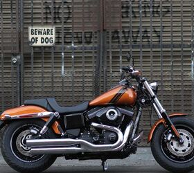 Harley fxdf deals