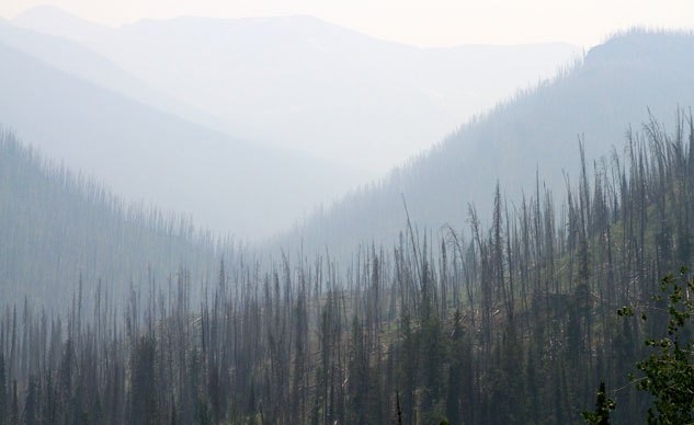 more important than the destination a return journey from sturgis, Hazy from nearby fires the first few miles into Yellowstone National Park show many signs of struggling life