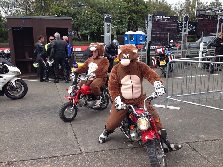 isle of man tt cool and unusual motorcycles, Two oversized chimps horsing around on monkey bikes