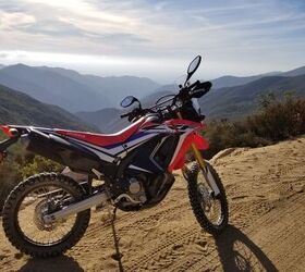 Honda 250l deals rally