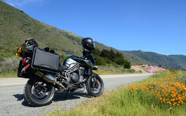 riding the triumph tiger 1200 to and fro, The California state flower and Dryspec cases What more could you ask for Photo by Kiyoji Whitener