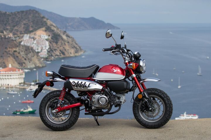 2019 honda monkey review first ride, The Monkey was very comfortable scooting around town for my 5 foot 8 inch frame It also never bottomed under my 175 pound weight when being hucked off of sweet jumps