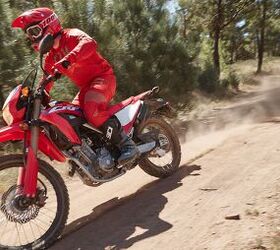 2021 Honda CRF300L & Rally Review - First Ride