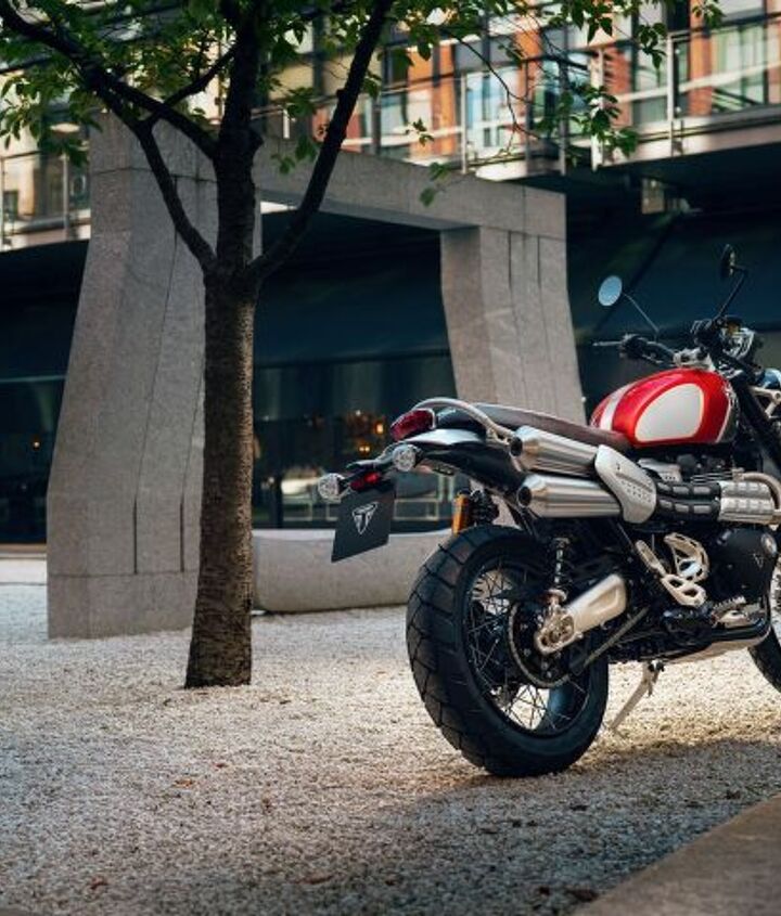 special edition 2022 triumph bonneville gold line models announced