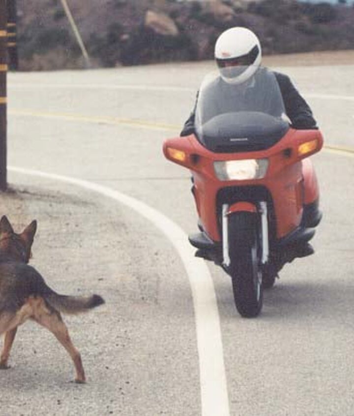 church of mo honda pacific coast 800 first impression