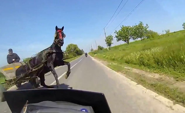 weekend awesome a near miss with a horse