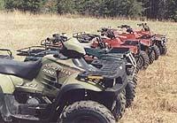 manufacturer atv test 1998 arctic cat 300 2x4 and 4x4 16152, The Loyal Opposition
